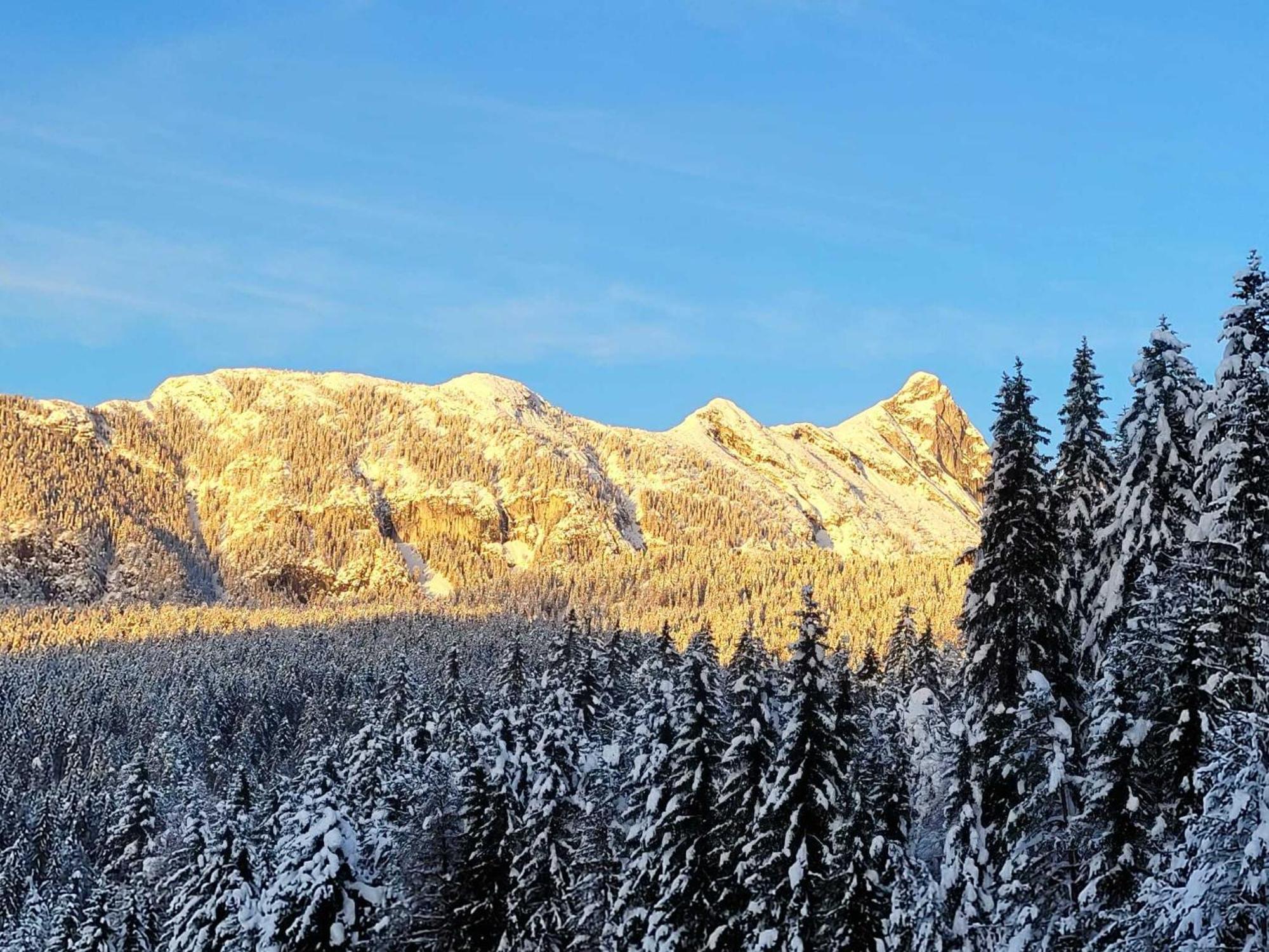 Alpenchalet Im Leutaschtal Eksteriør billede